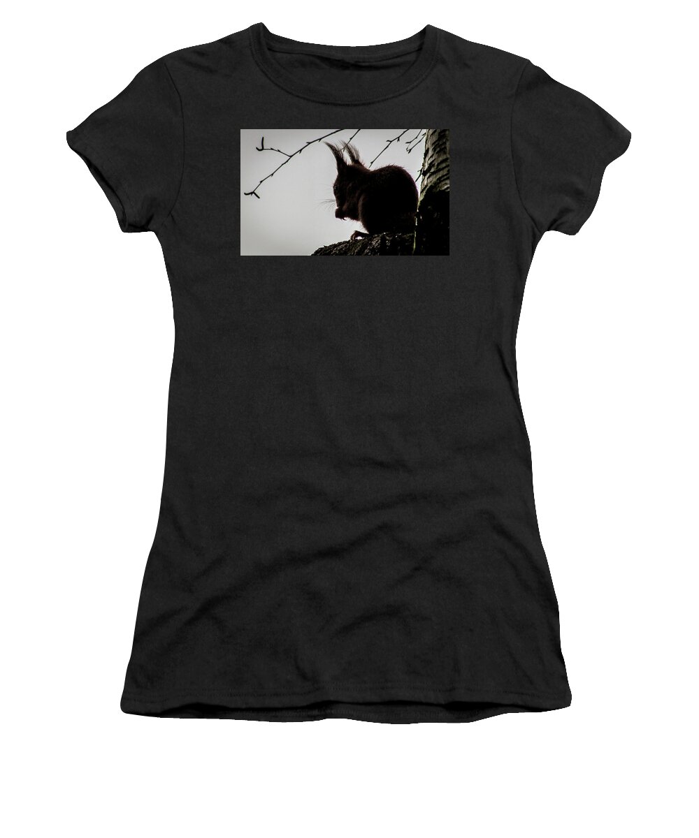 Bird Women's T-Shirt featuring the photograph Squirrel #5 by Cesar Vieira