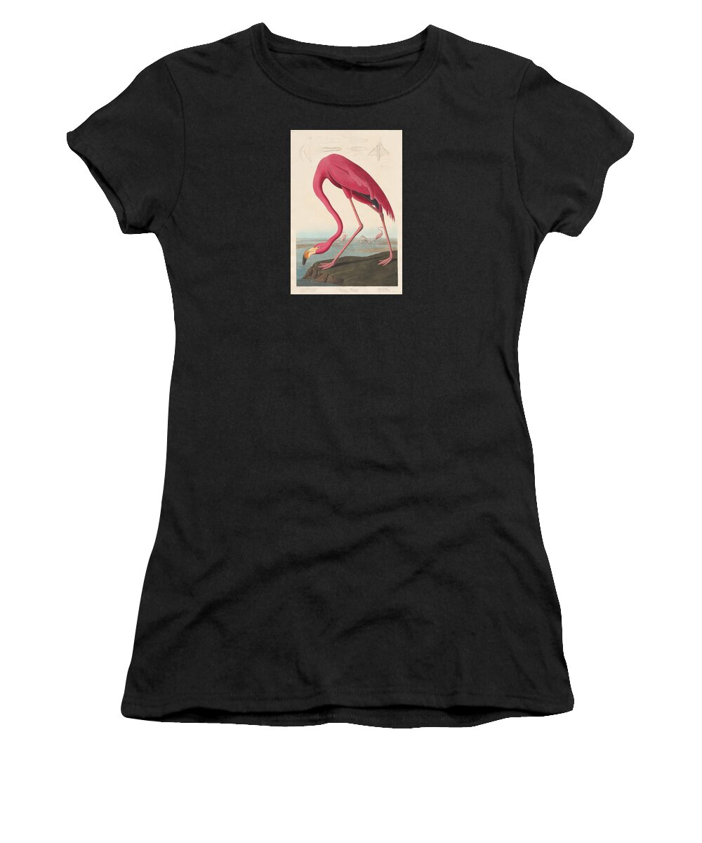 John James Audubon Women's T-Shirt featuring the painting American Flamingo #6 by John James Audubon