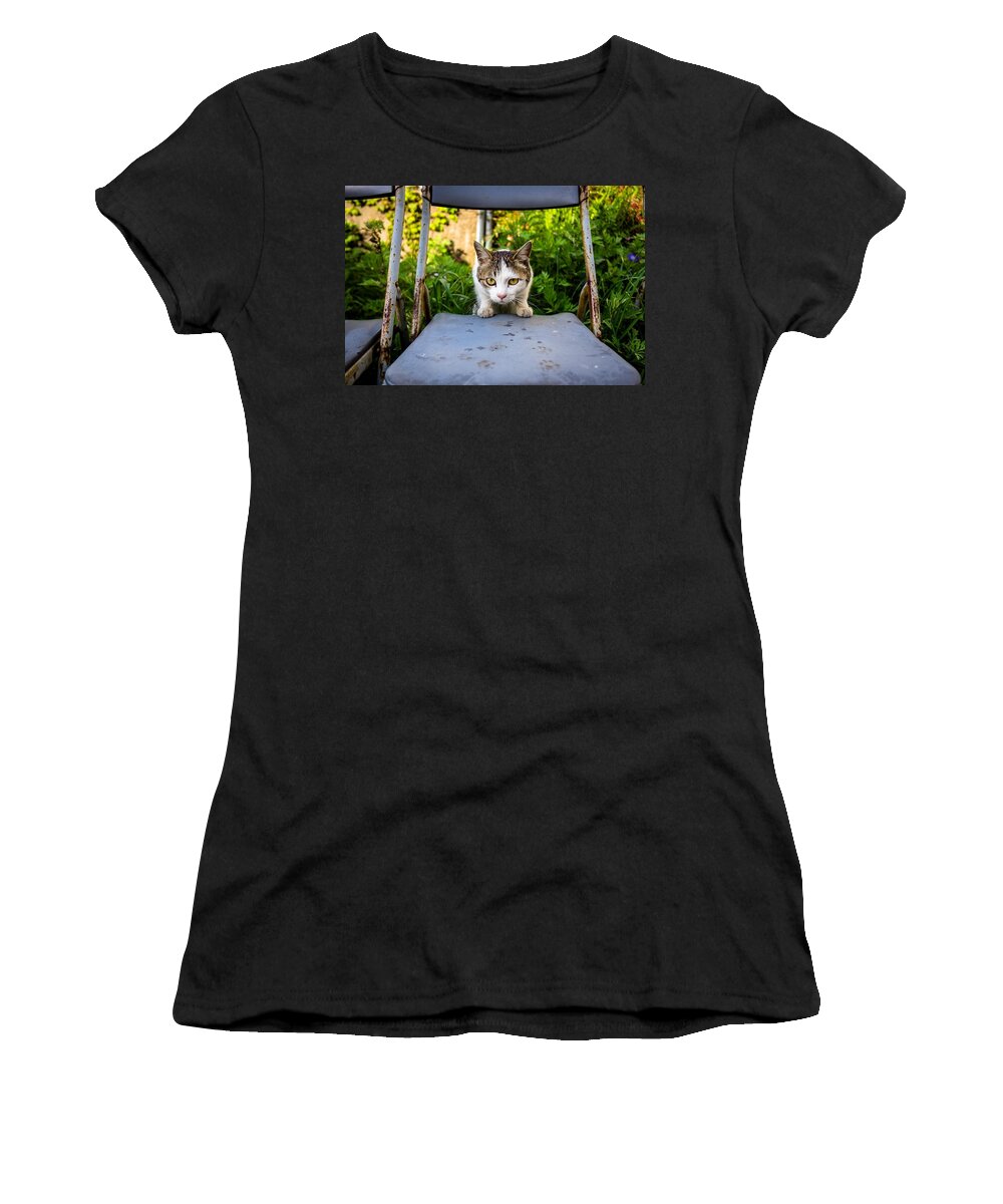 Cat Women's T-Shirt featuring the digital art Cat #96 by Maye Loeser