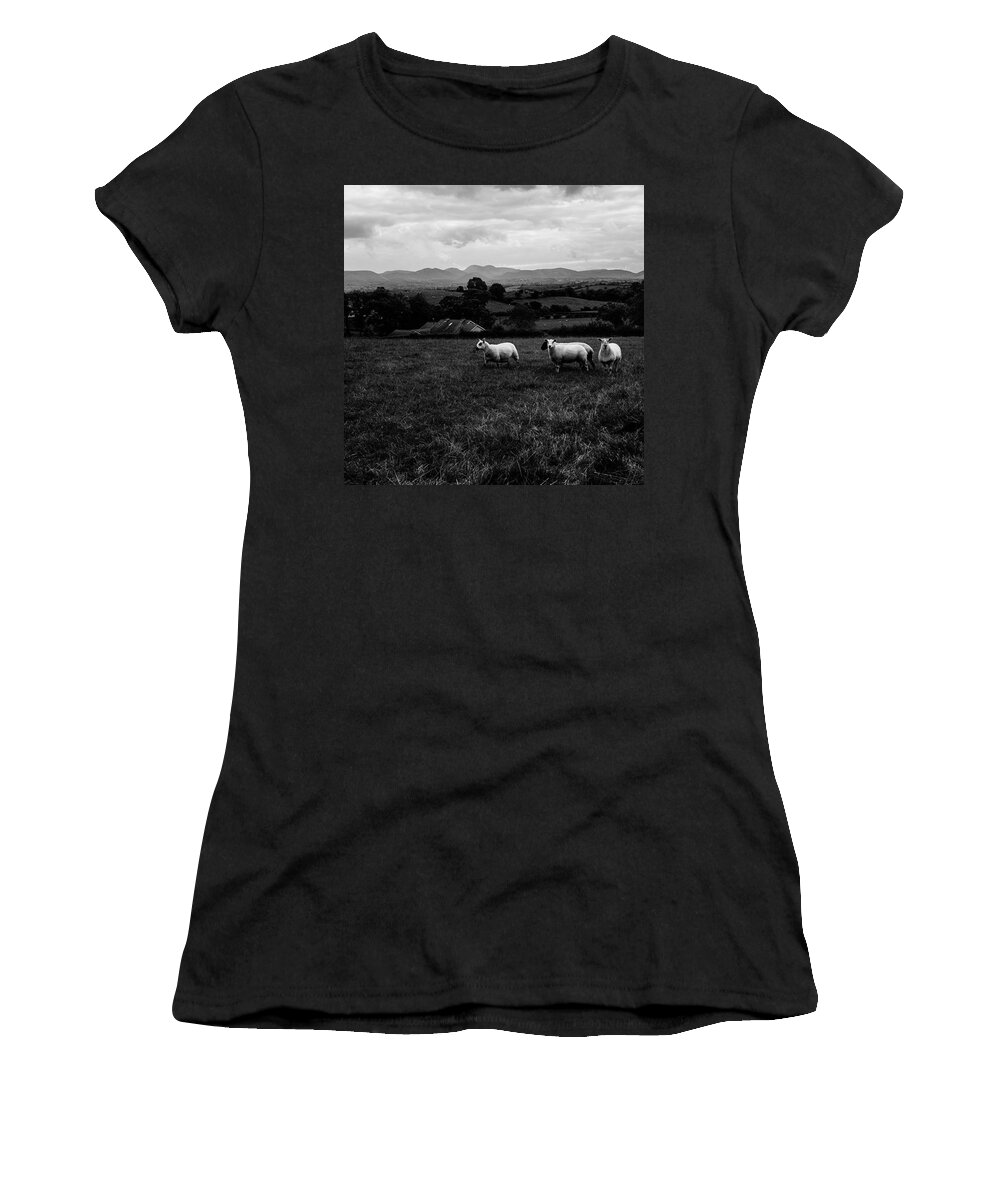  Women's T-Shirt featuring the photograph A Common Sight In Northern Ireland by Aleck Cartwright