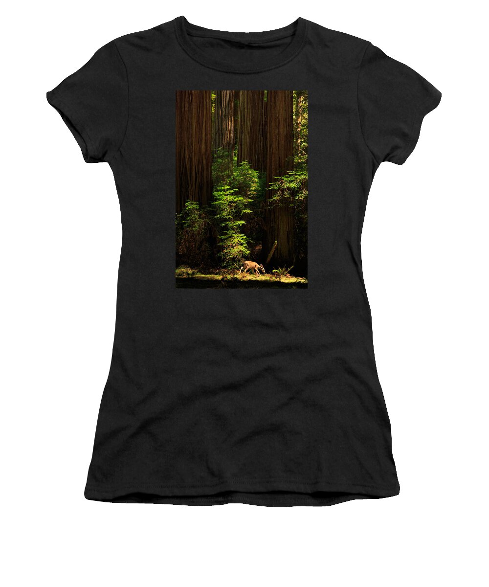 Deer Women's T-Shirt featuring the photograph A Deer In The Redwoods by James Eddy