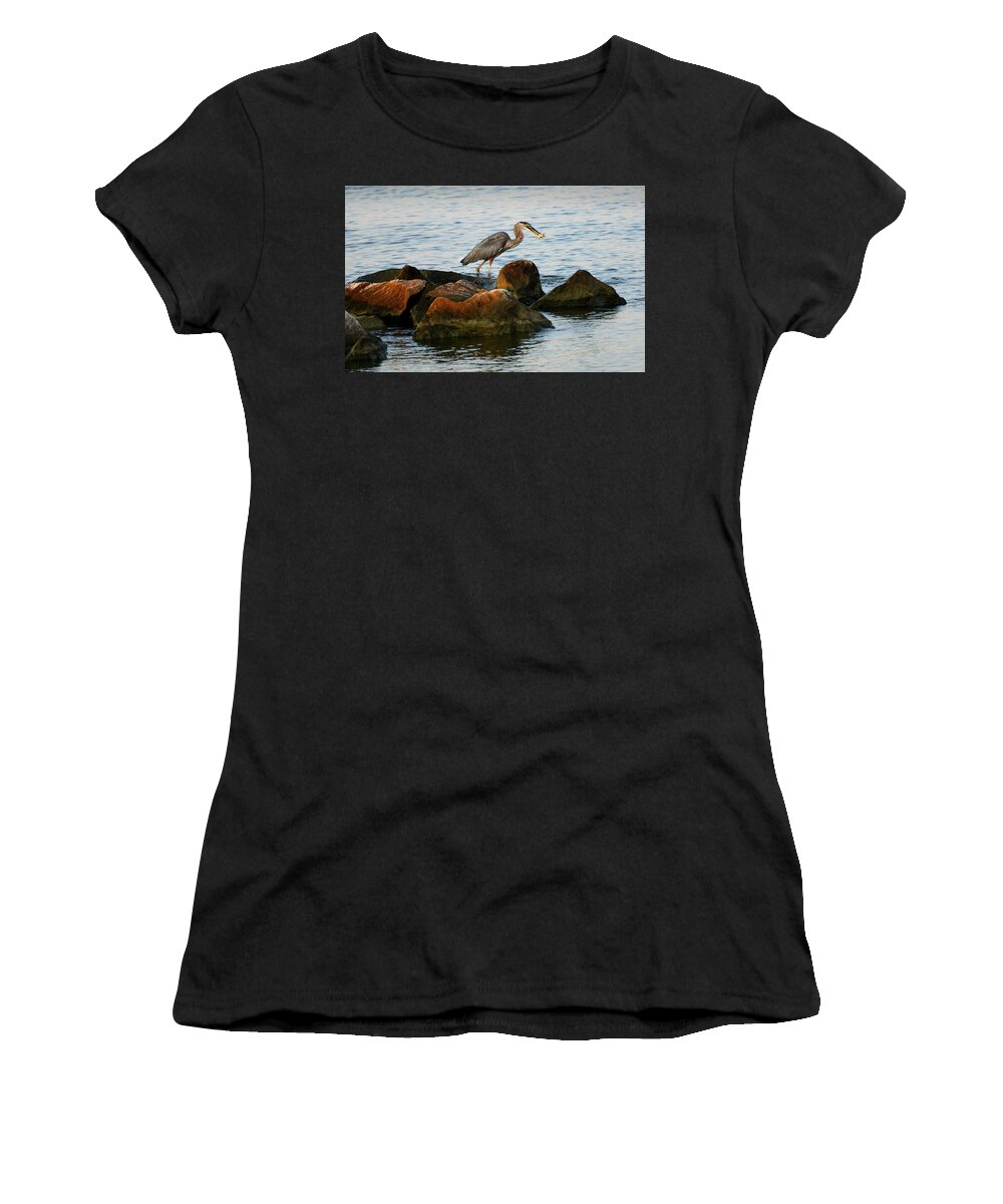 Ardea Herodias Women's T-Shirt featuring the photograph A Great Blue Heron Day by Patrick Wolf