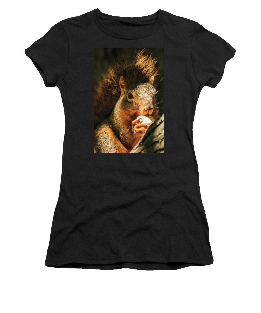 Illinois Women's T-Shirt featuring the photograph A Squirrel and his Nut by Joni Eskridge