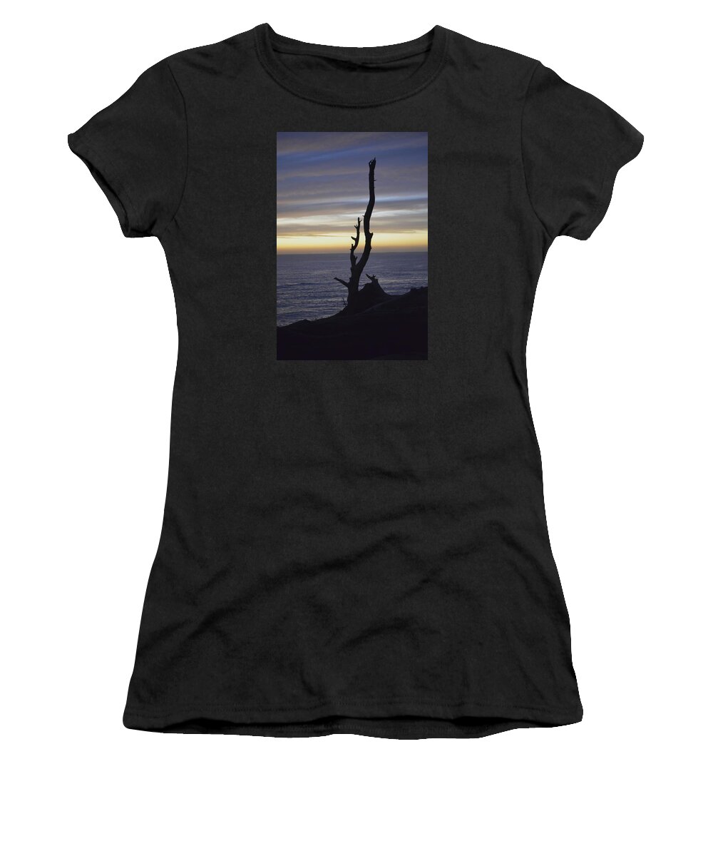  Women's T-Shirt featuring the photograph Reach For the Sky by Alex King
