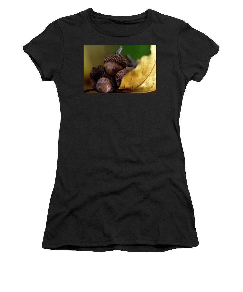 Wostphoto Women's T-Shirt featuring the photograph Acorns in fall by Wolfgang Stocker