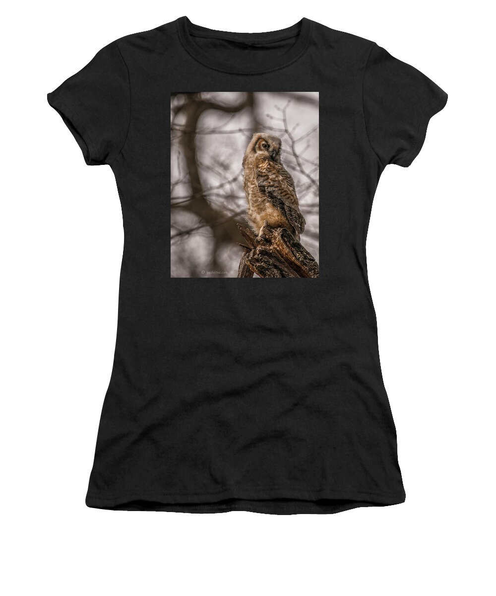  Women's T-Shirt featuring the photograph Adolescent owl 10.... by Paul Vitko
