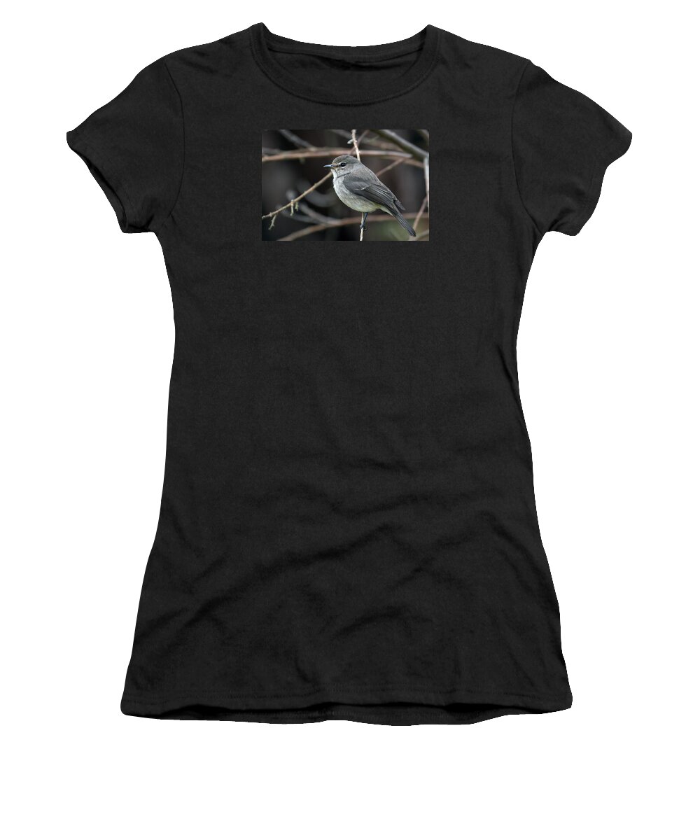 Bird Women's T-Shirt featuring the photograph African Dusky Flycatcher by Claudio Maioli