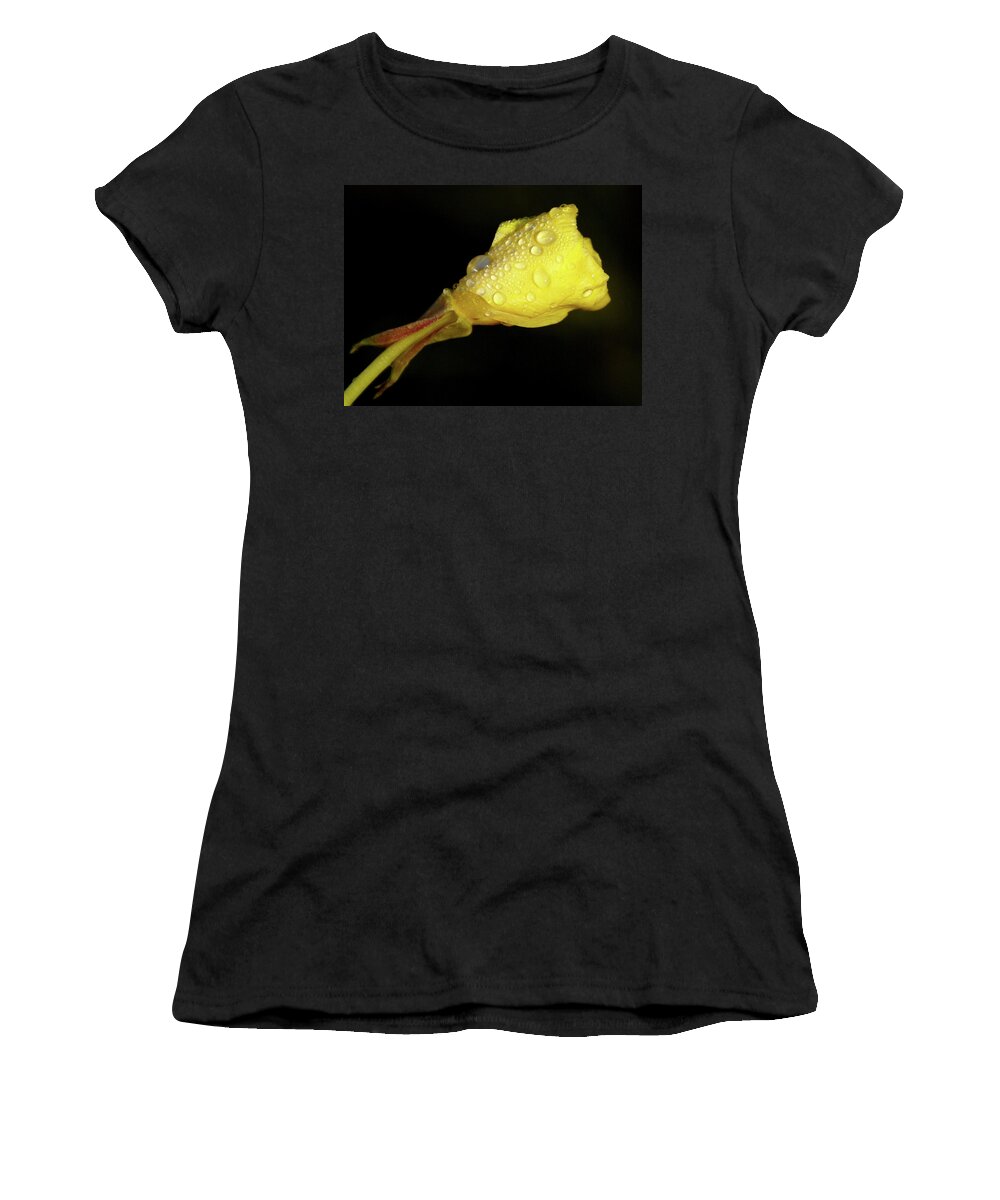 Wildflower Women's T-Shirt featuring the photograph After The Rain by Linda Shafer