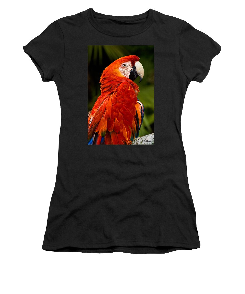 Bird Women's T-Shirt featuring the photograph Aloof In Red by Christopher Holmes