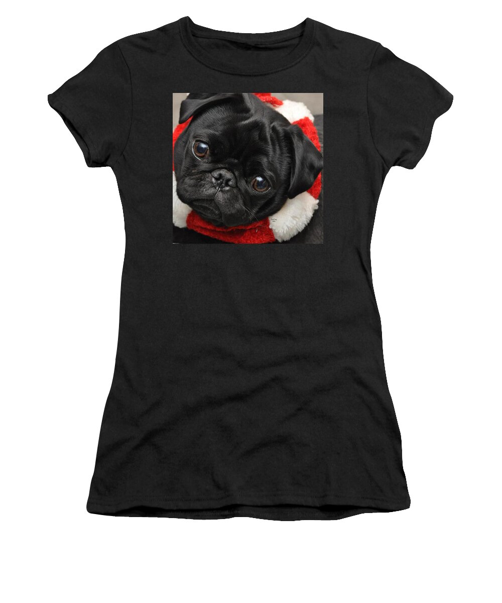 Dog Women's T-Shirt featuring the photograph Alvin by Trish Tritz