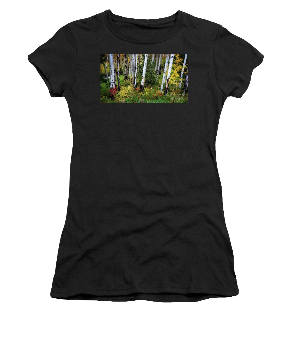 Colorado Women's T-Shirt featuring the photograph An Aspen Fall by Doug Sturgess