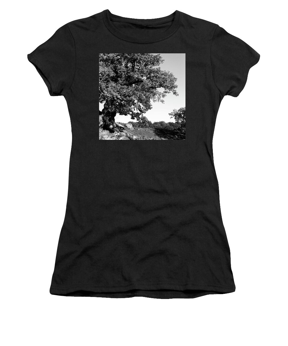 Woodland Women's T-Shirt featuring the photograph Ancient Oak, Bradgate Park by John Edwards