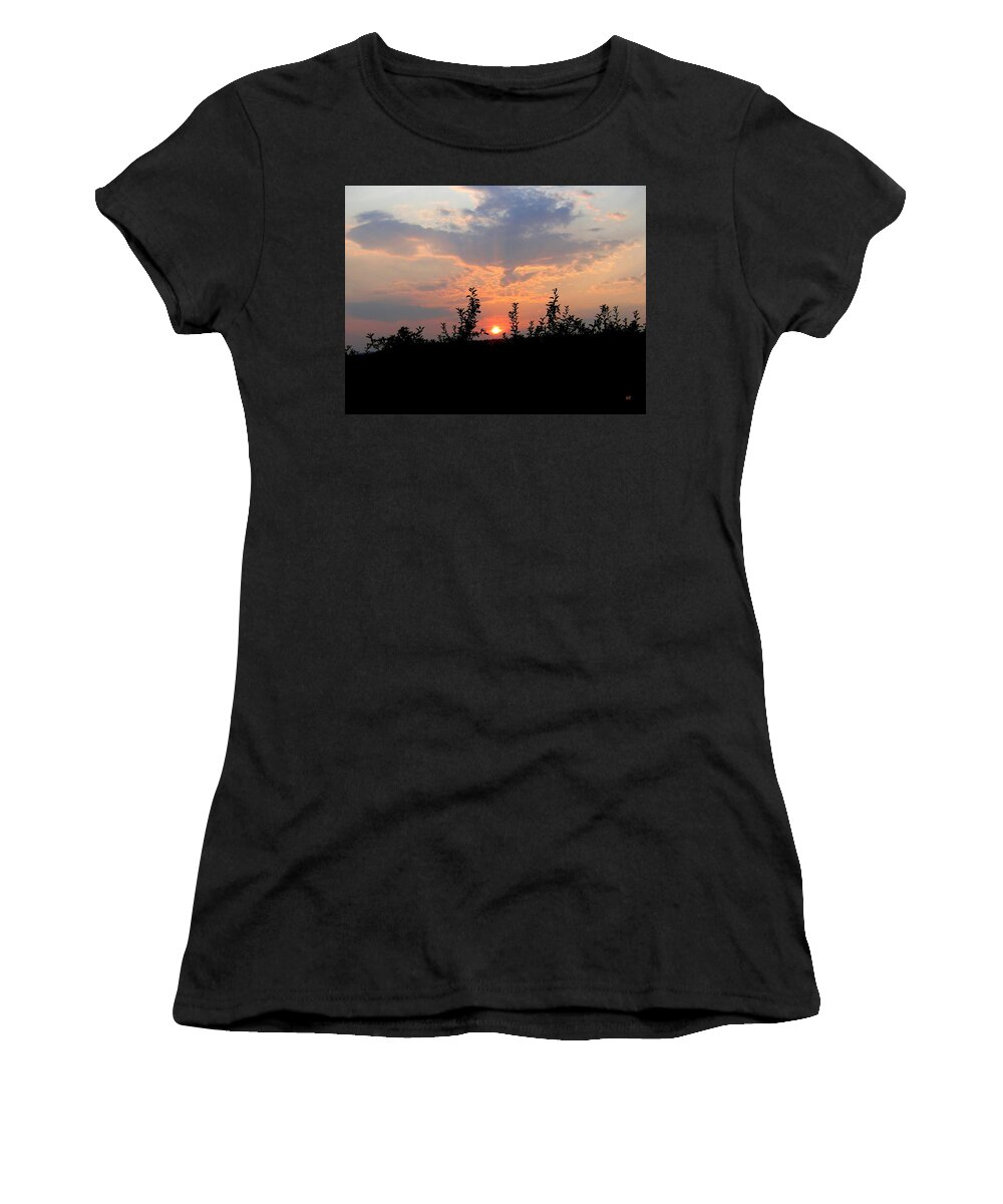 Sunset Women's T-Shirt featuring the photograph Apple Orchard Silhouette by Will Borden