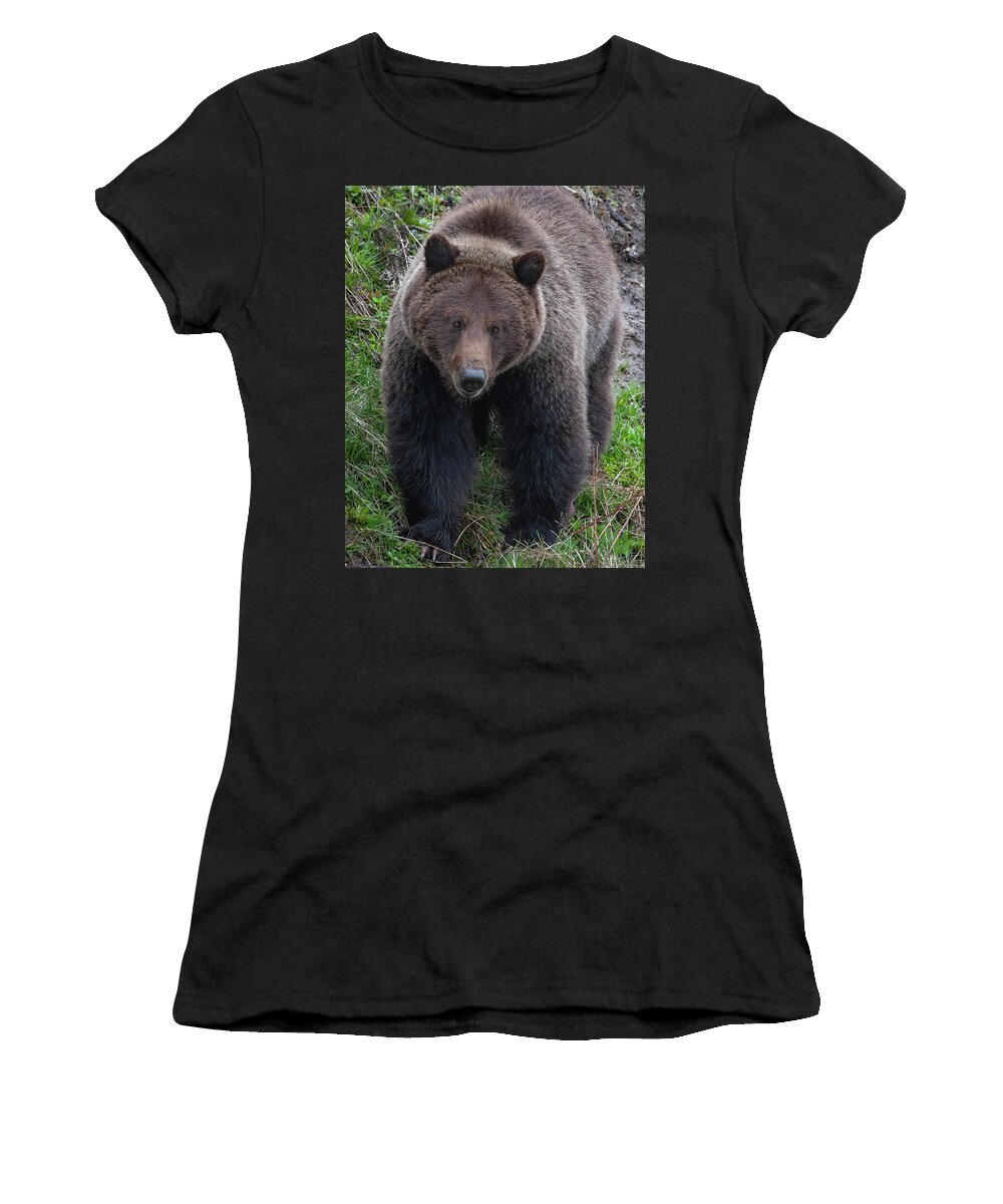 Mark Miller Photos Women's T-Shirt featuring the photograph Approaching Grizzly by Mark Miller