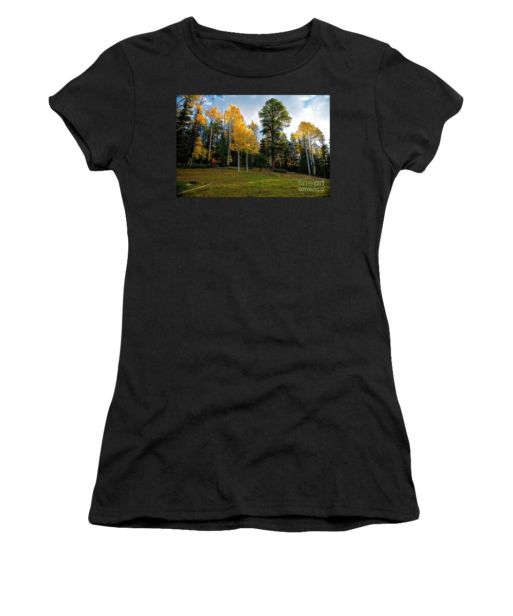 Aspens Women's T-Shirt featuring the photograph Aspens at Sunrise by David Arment