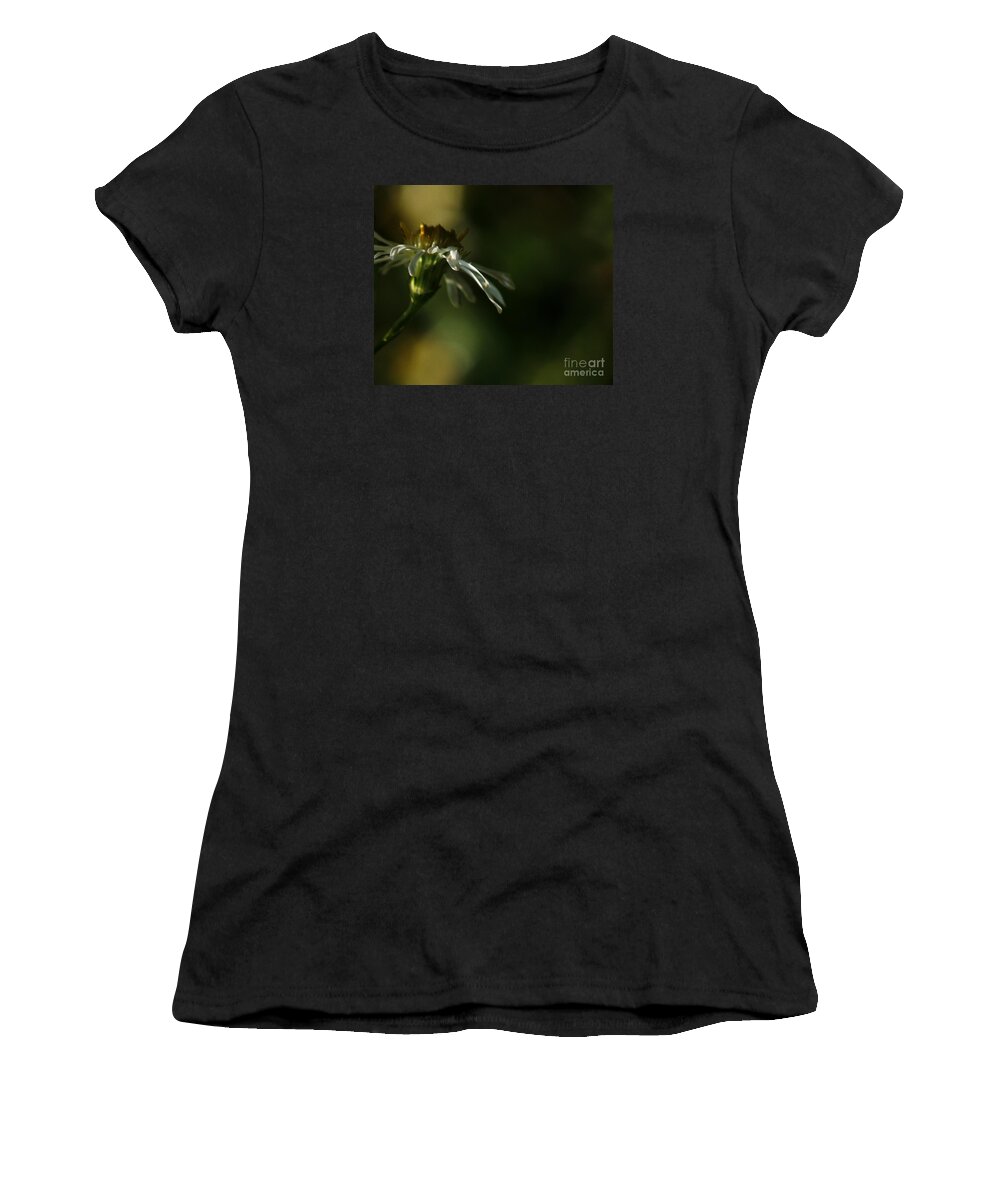 Flower Women's T-Shirt featuring the photograph Aster's Peripheral Ray by Linda Shafer
