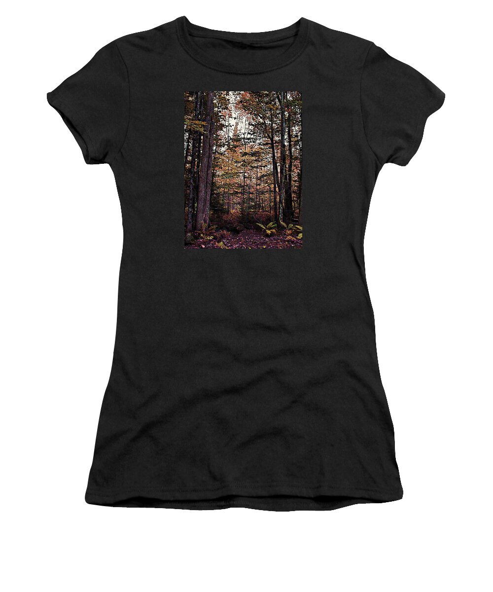 Autumn Color In The Woods Women's T-Shirt featuring the photograph Autumn Color In The Woods by Joy Nichols