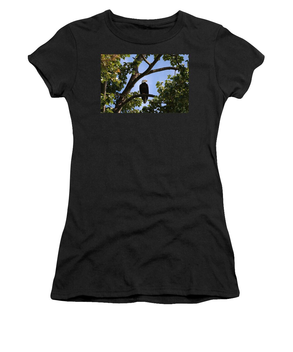 Bald Eagle Women's T-Shirt featuring the photograph Bald Eagle - 1 by Christy Pooschke