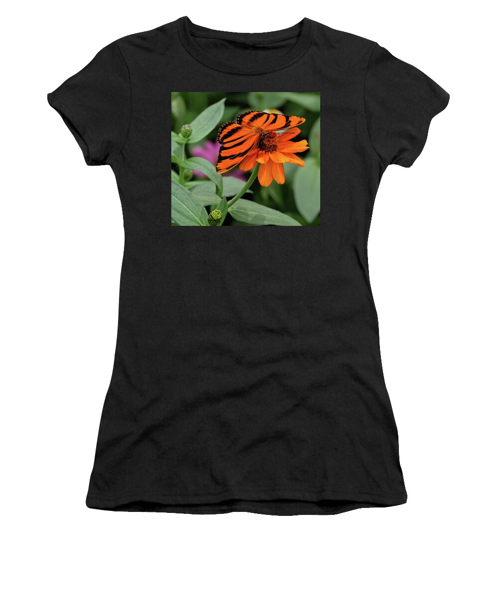 Banded Orange Butterfly Women's T-Shirt featuring the photograph Banded Orange Butterfly by Ronda Ryan