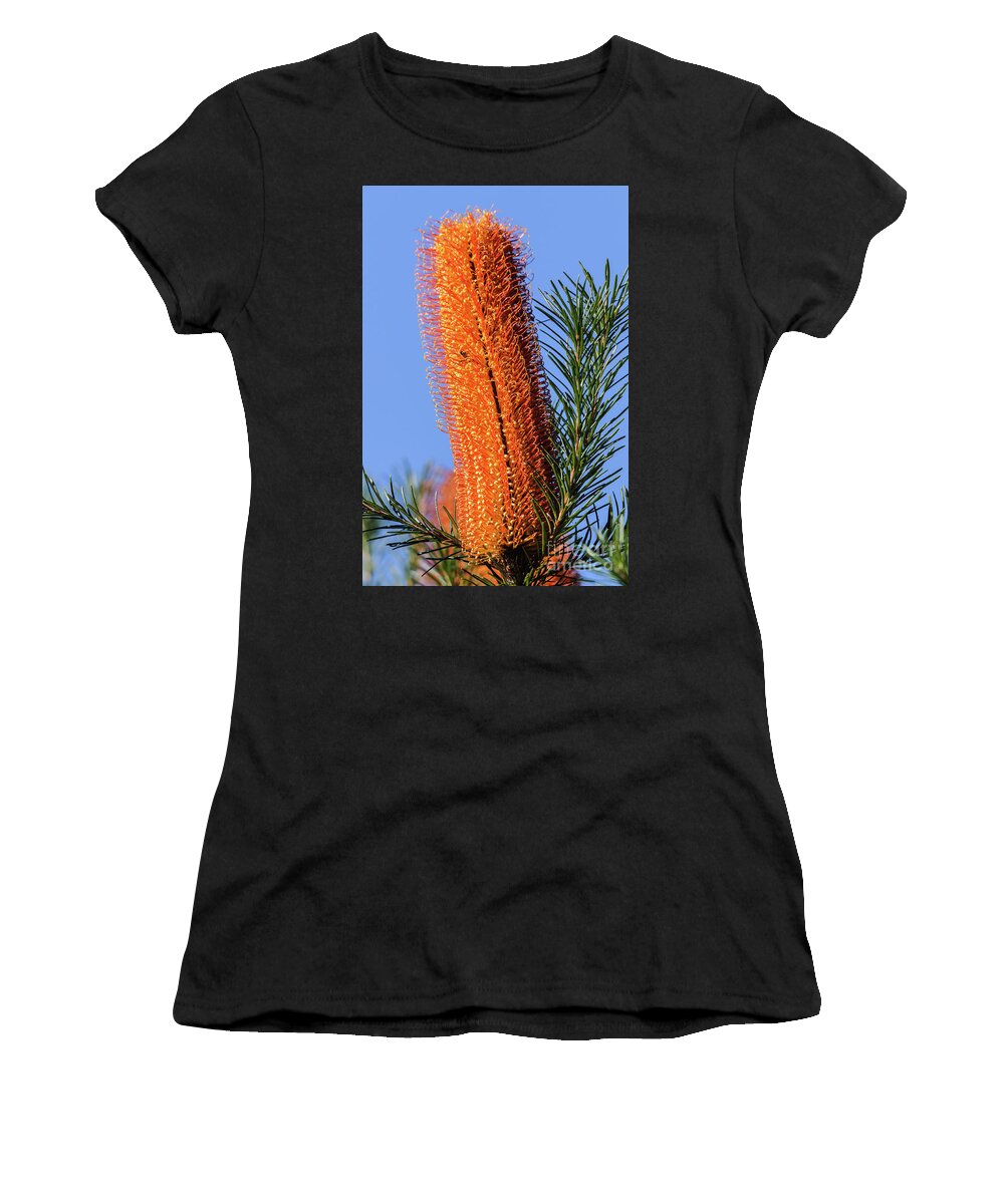 Plant Women's T-Shirt featuring the photograph Banksia NSW09 by Werner Padarin