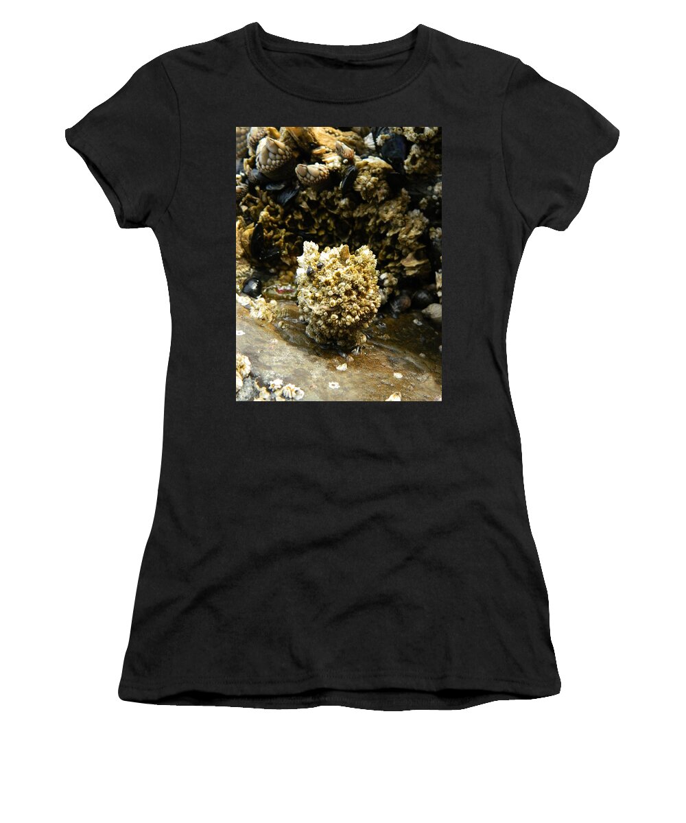 Barnacles Women's T-Shirt featuring the photograph Barnacle Worm Two by Gallery Of Hope 