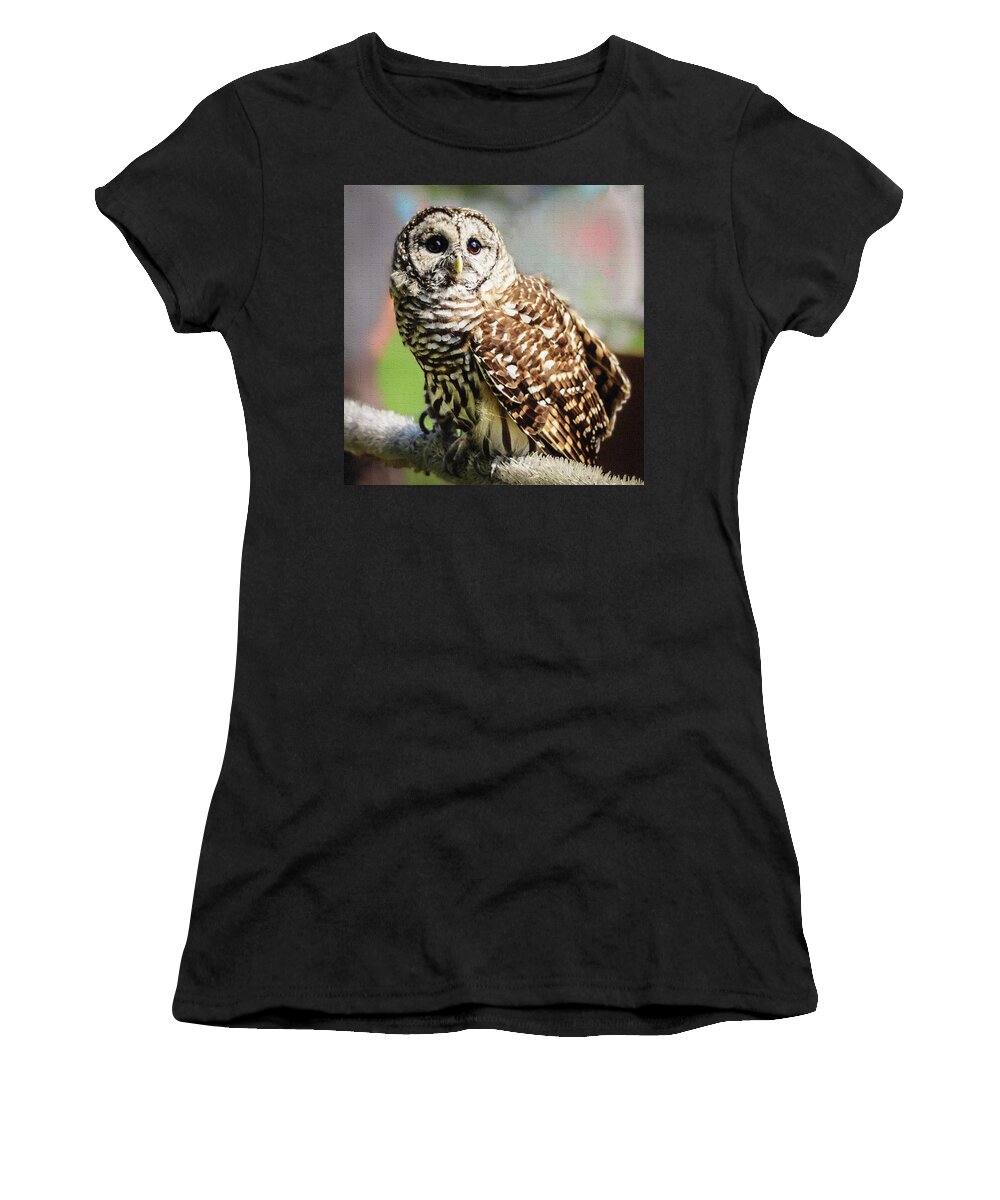 Barred Owl Women's T-Shirt featuring the photograph Barred Owl by Robert Mitchell