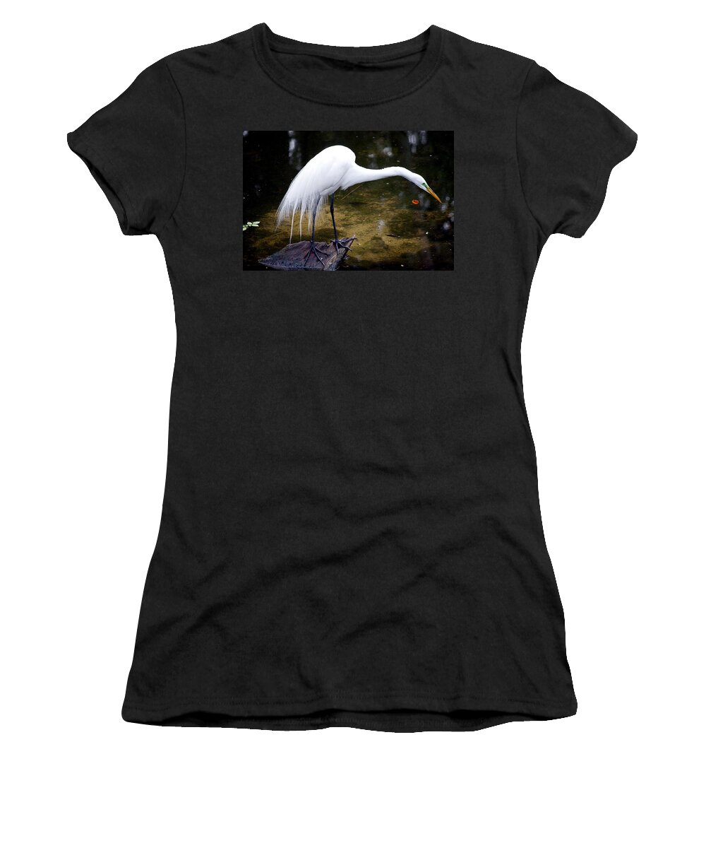 Wildlife Women's T-Shirt featuring the photograph Beautiful Plumage by Kenneth Albin
