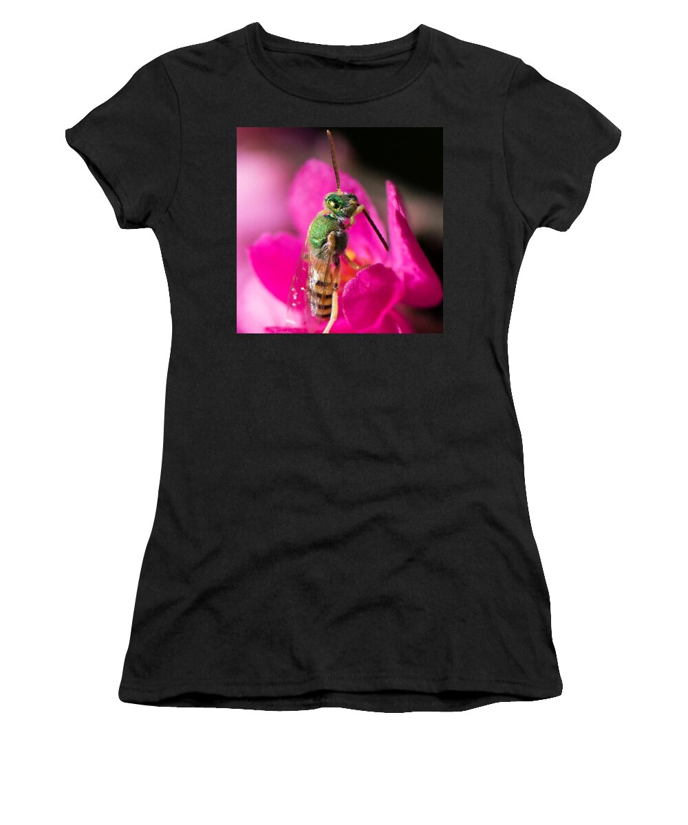 Bee Women's T-Shirt featuring the photograph Close up macro of a green hornet by Michael Moriarty