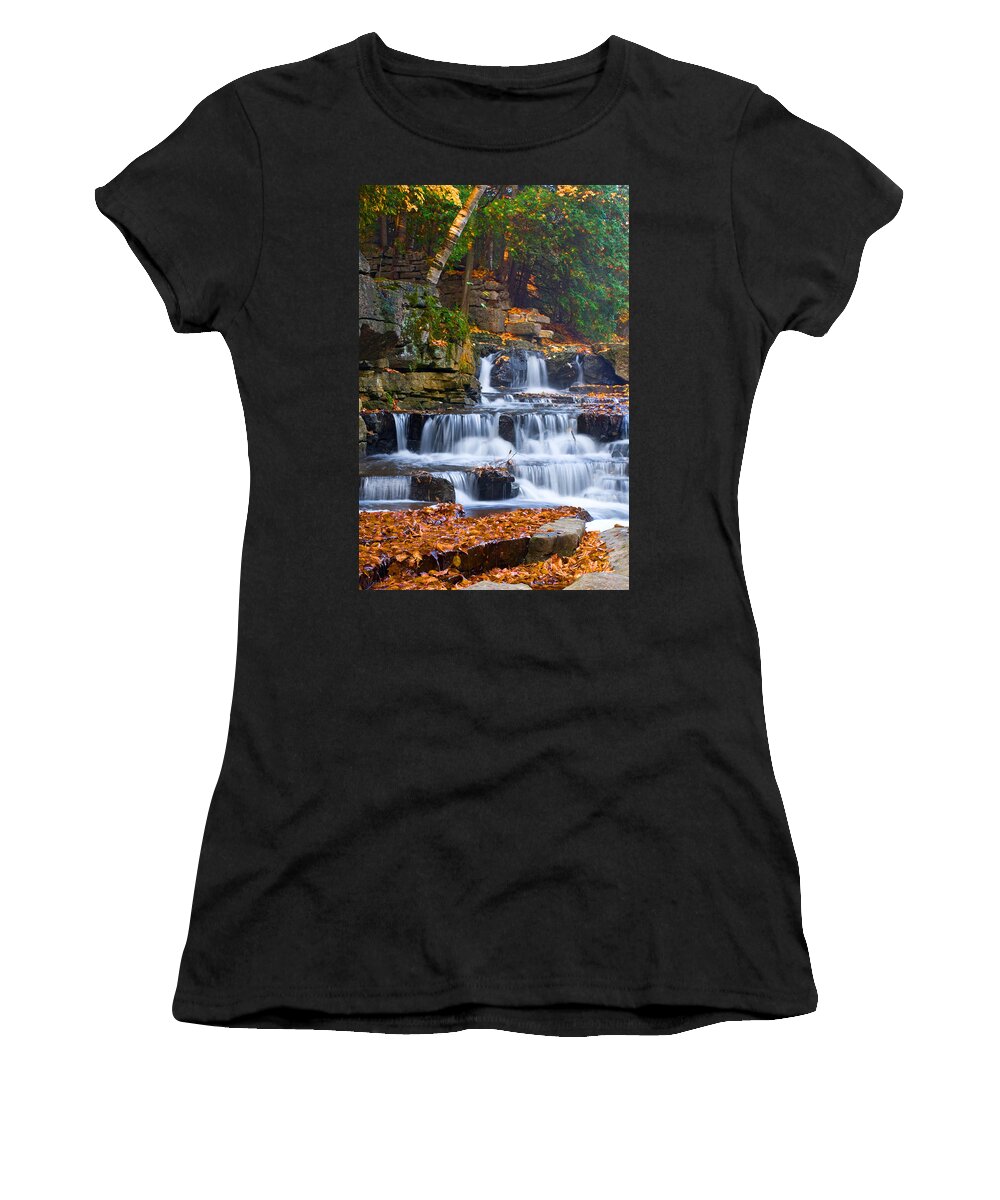 Wisconsin Women's T-Shirt featuring the photograph Birch flowing by David Heilman