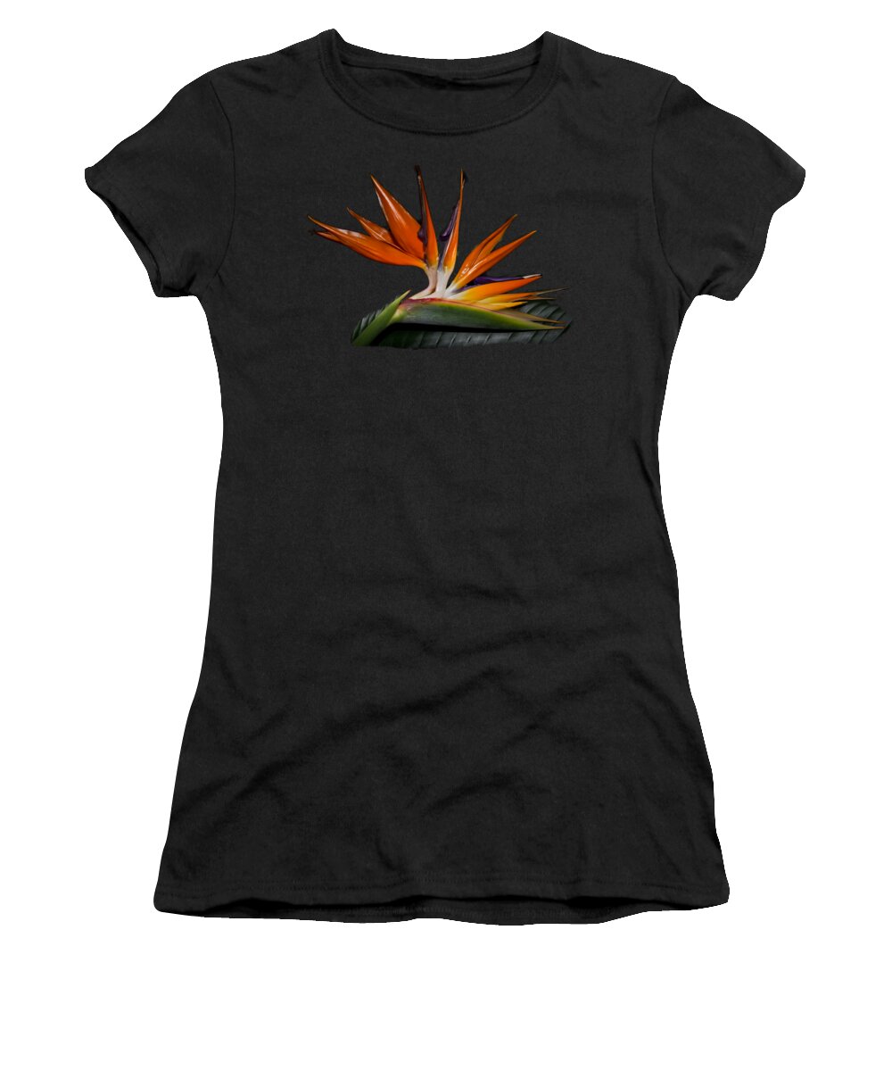 Bird Women's T-Shirt featuring the photograph Bird in Paradise by Debra and Dave Vanderlaan