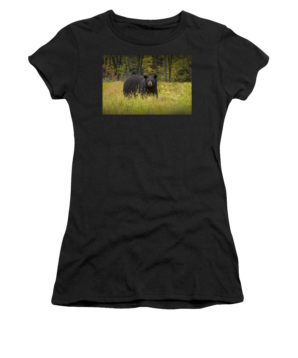 Wildlife Women's T-Shirt featuring the photograph Black Bear in the Grass by Randall Nyhof