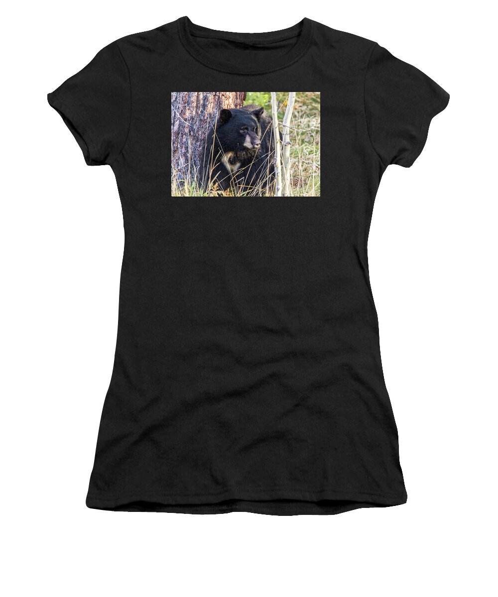 California Women's T-Shirt featuring the photograph Black Bear Stare by Marc Crumpler