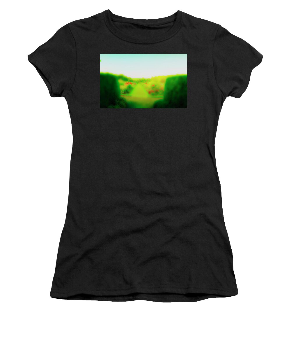 Railroad Women's T-Shirt featuring the photograph Blooms in Sun by Jan W Faul