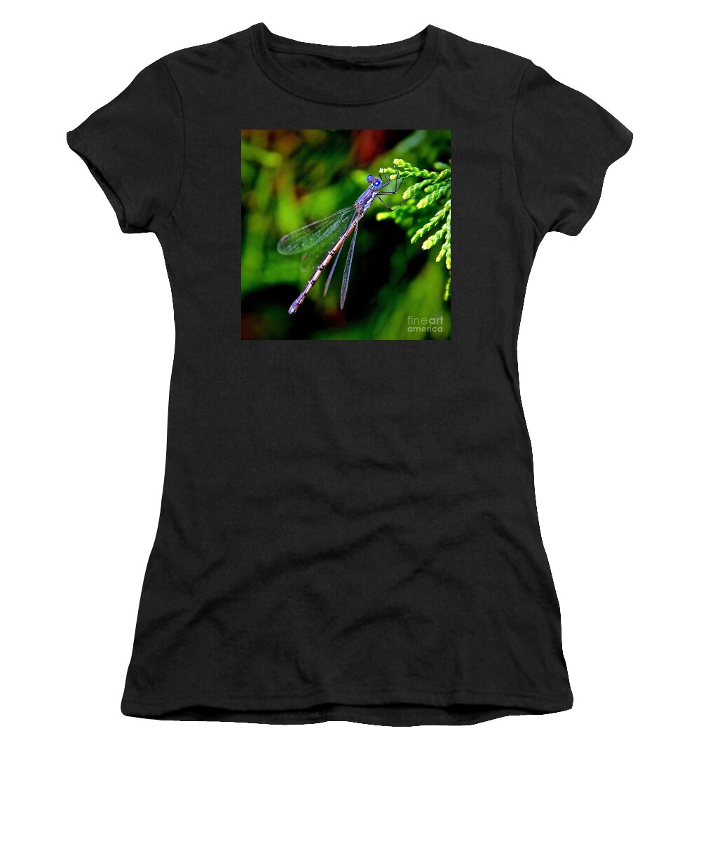 Blue Eyes Draner Women's T-Shirt featuring the photograph Blue Eyes Draner Fly by Elisabeth Derichs