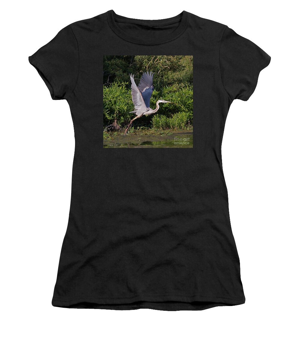 Bird Of Prey Bird Women's T-Shirt featuring the photograph Blue Heron by Robert Pearson