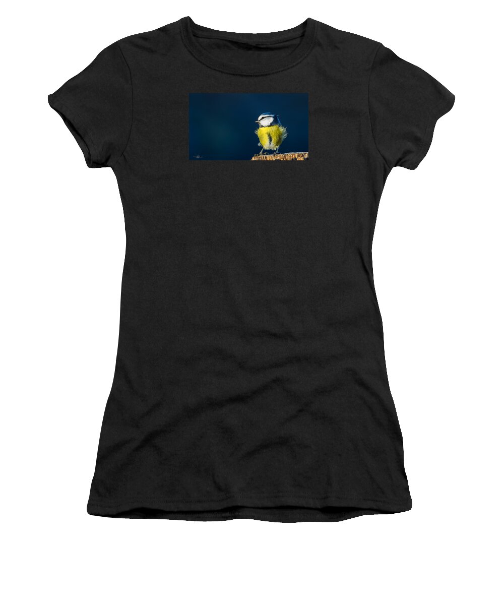 Blue On Blue Women's T-Shirt featuring the photograph Blue on Blue by Torbjorn Swenelius