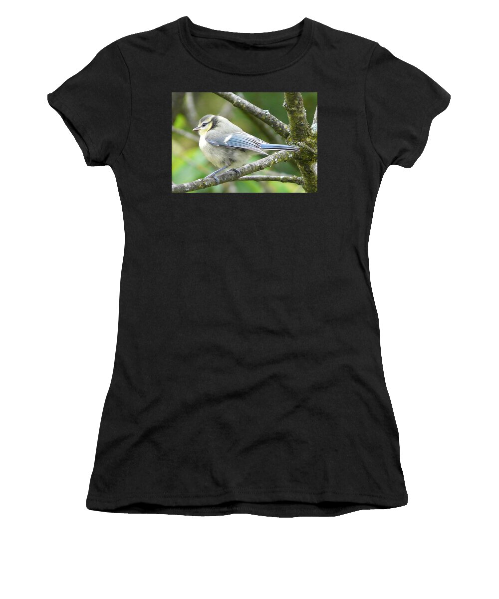 Bird Women's T-Shirt featuring the photograph Blue Tit by Valerie Ornstein