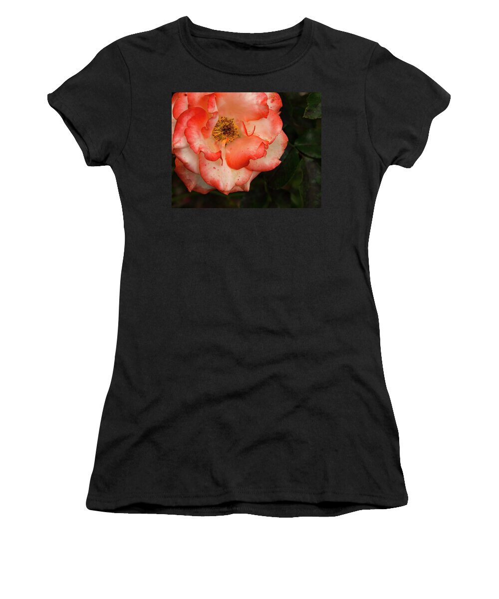 Garden Women's T-Shirt featuring the photograph Blushing Rose by Jean Noren