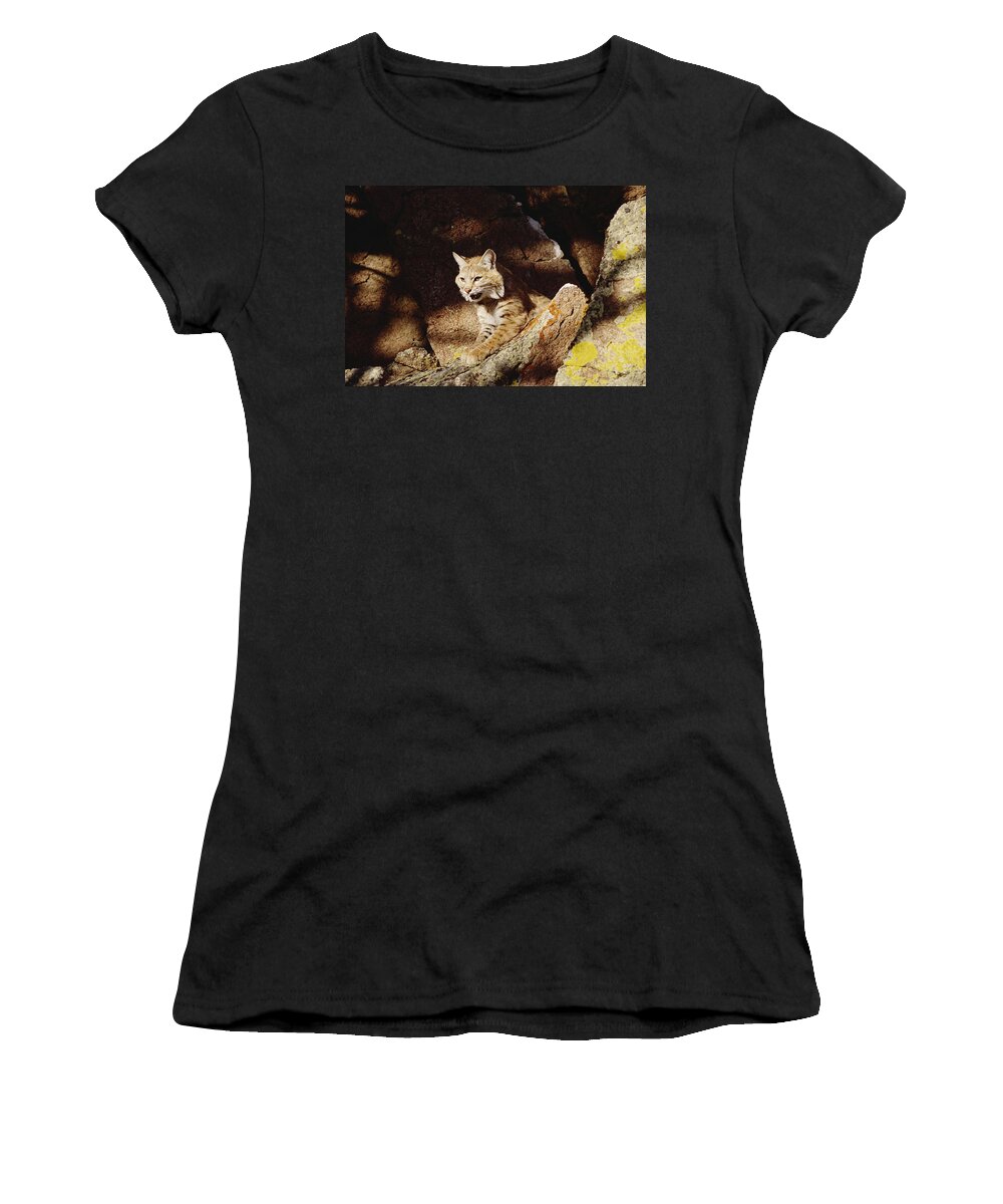 Mp Women's T-Shirt featuring the photograph Bobcat Lynx Rufus Portrait On Rock by Gerry Ellis