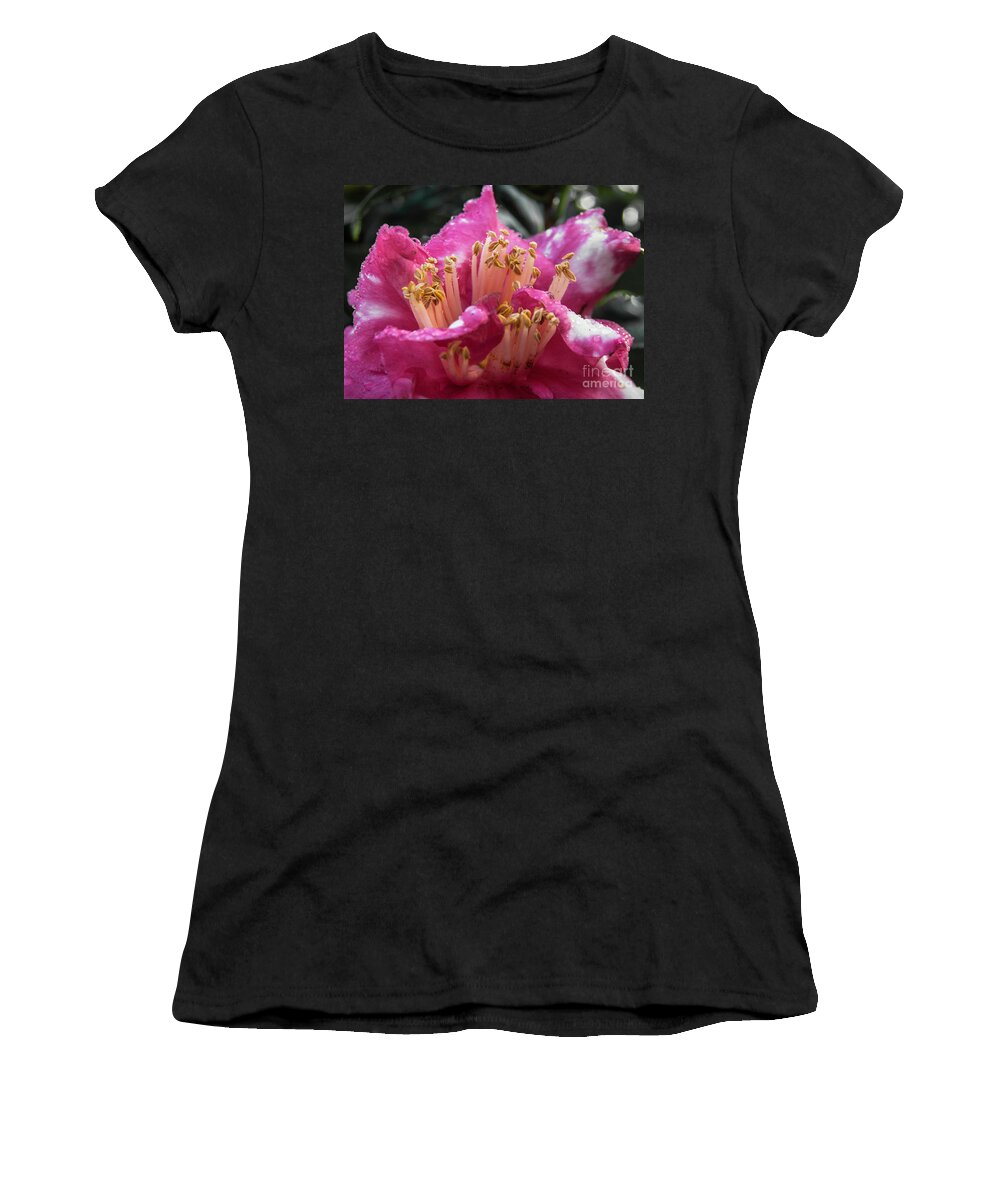 Flower Women's T-Shirt featuring the photograph Bold by Judy Hall-Folde