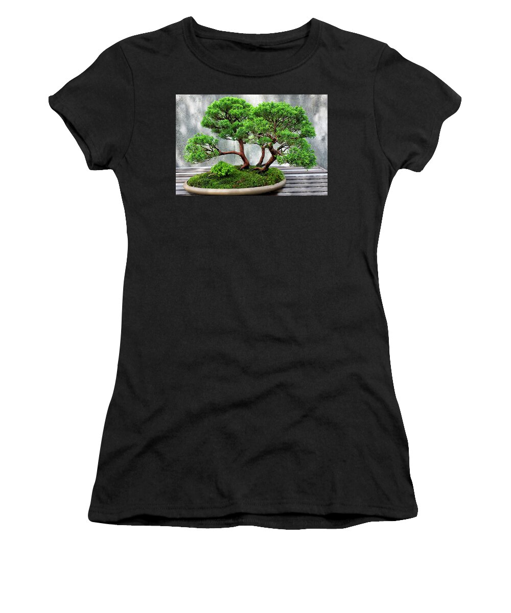 Bonsai Women's T-Shirt featuring the photograph Bonsai Tree Series Y6405 by Carlos Diaz