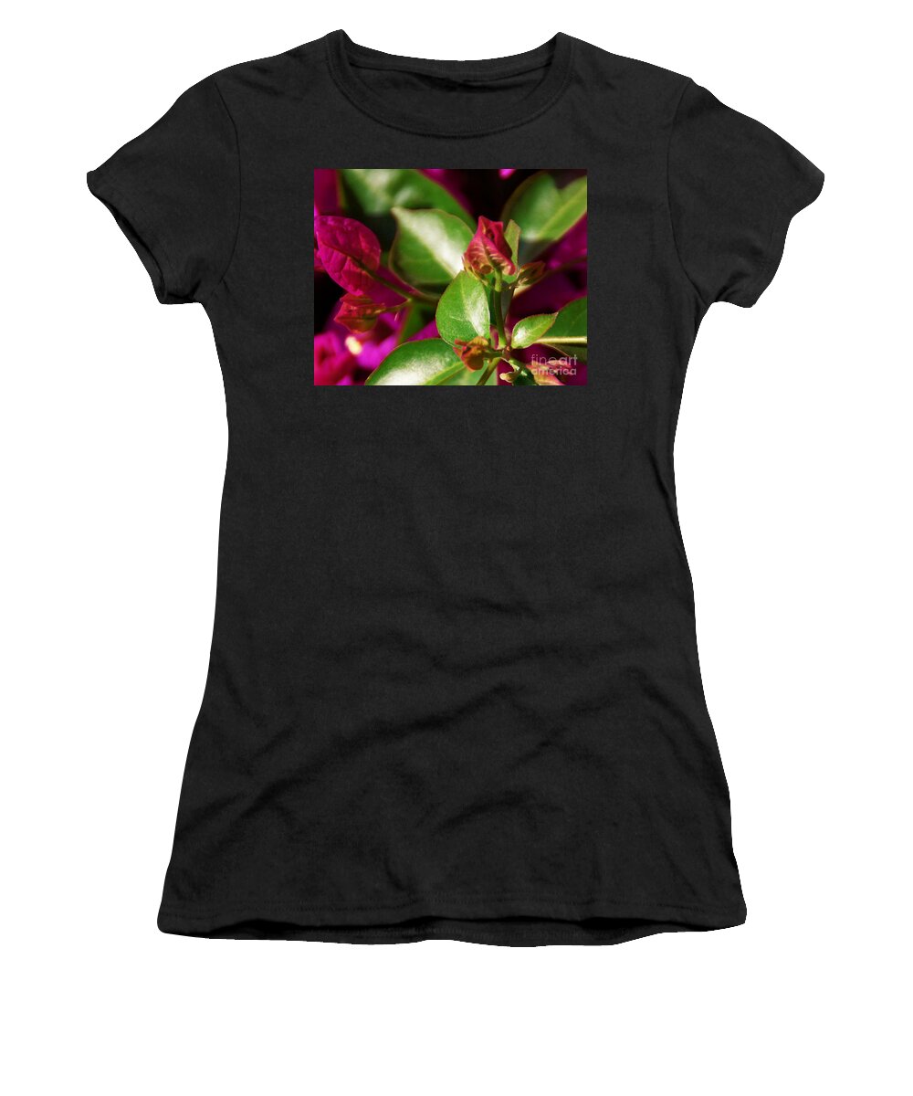 Bougainvillea Women's T-Shirt featuring the photograph Bougainvillea by Linda Shafer