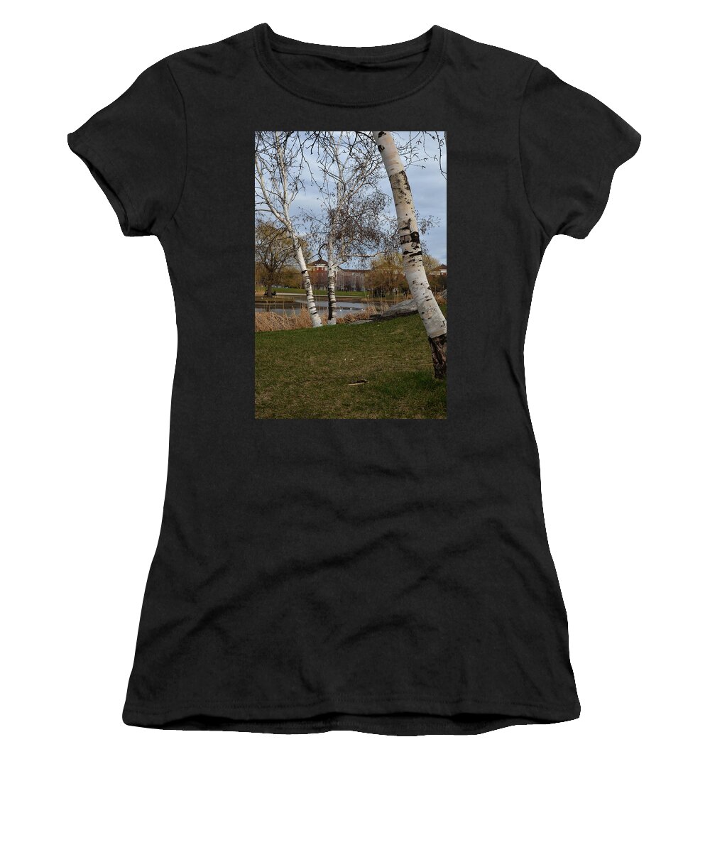 Parc Women's T-Shirt featuring the photograph Bouleaux / Birch Trees 3 by Jean-Marc Robert