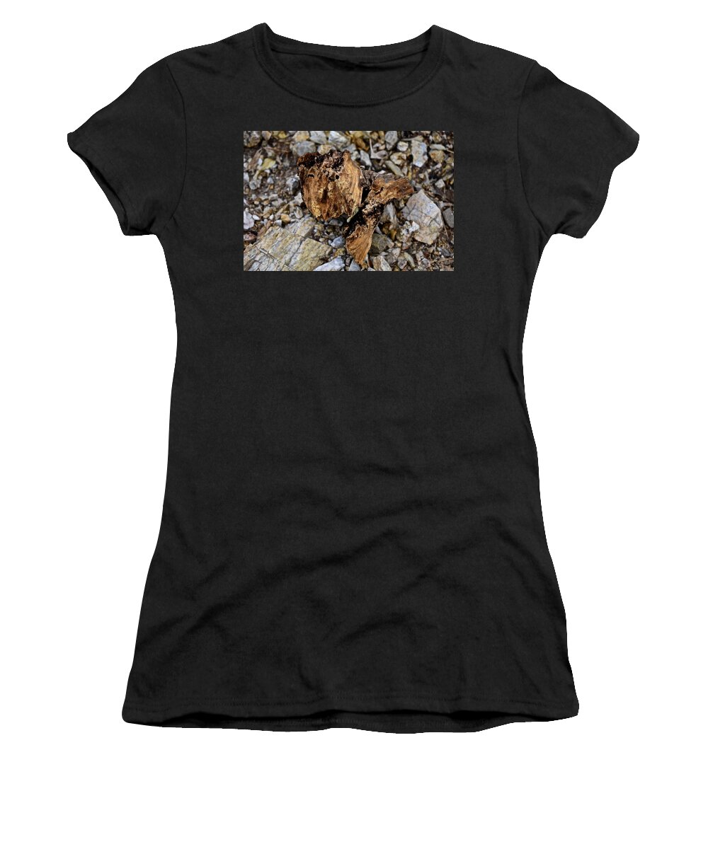 Brown Women's T-Shirt featuring the photograph Curiosity 1 by Melisa Elliott