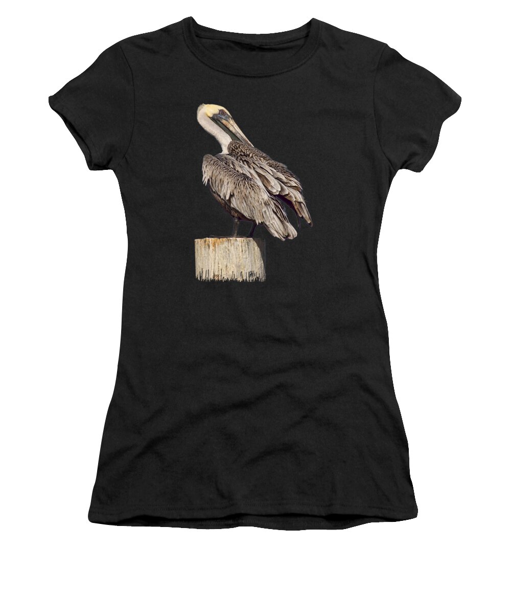 Brown Pelican Women's T-Shirt featuring the photograph Brown Pelican - Preening - Transparent by Nikolyn McDonald