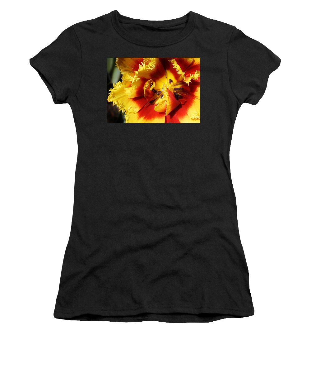 Flora Women's T-Shirt featuring the photograph Burst of Spring by Bruce Bley