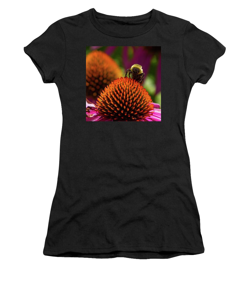Bee Women's T-Shirt featuring the photograph Busy as a ... Just busy by Darryl Hendricks