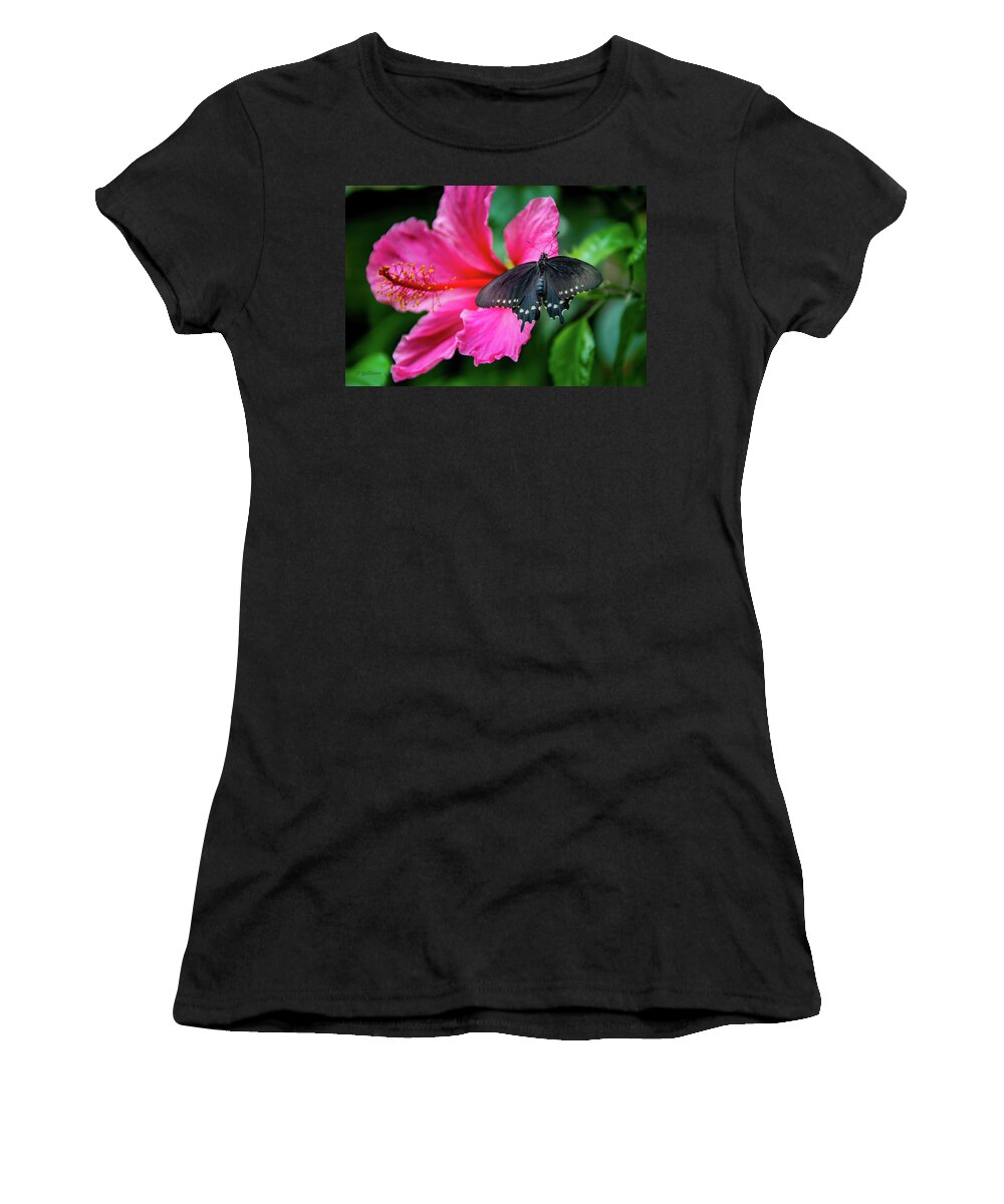 Butterfly Women's T-Shirt featuring the photograph Butterfly 14 by Pamela Williams