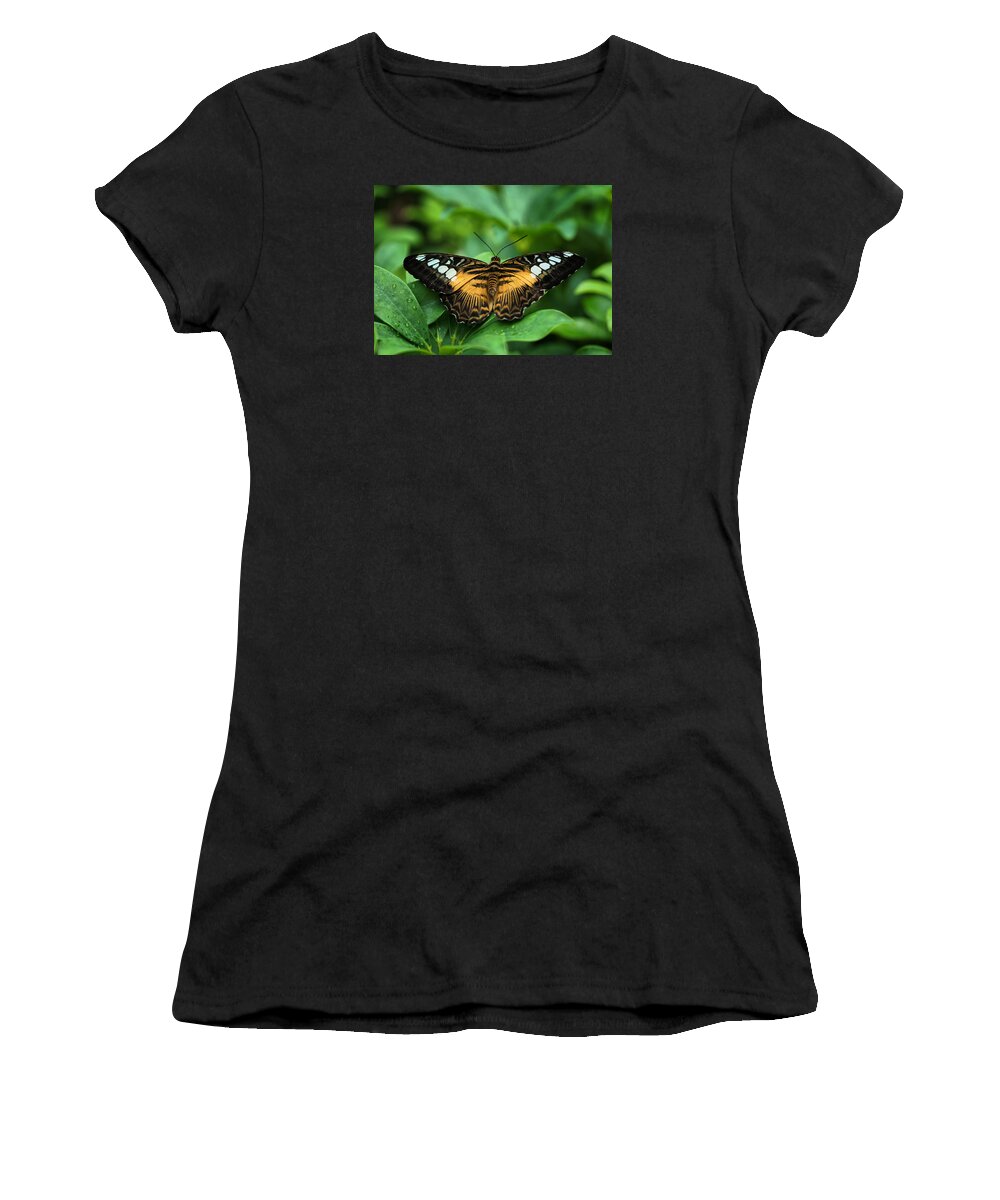Yellow Women's T-Shirt featuring the photograph Butterfly by Lilia S
