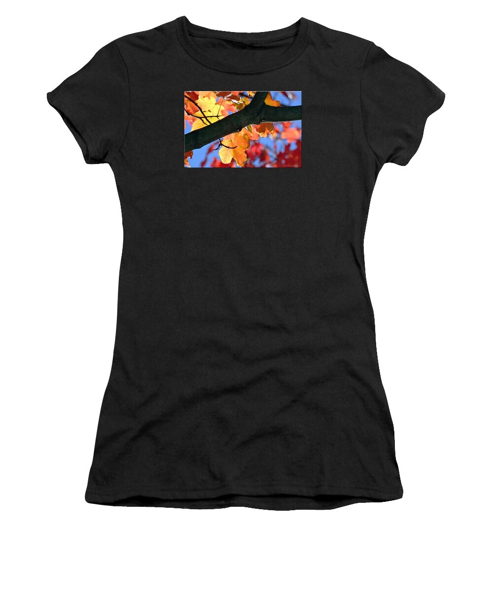 Tree Women's T-Shirt featuring the photograph Changing of the colors by Mikki Cucuzzo